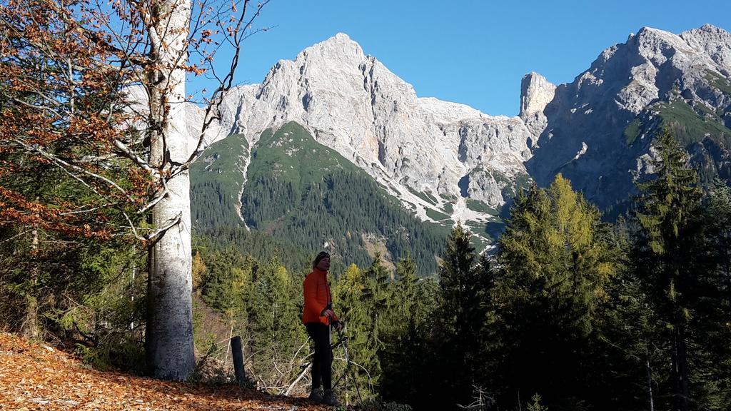 Apartament Haus Breithornblick Maria Alm am Steinernen Meer Zewnętrze zdjęcie