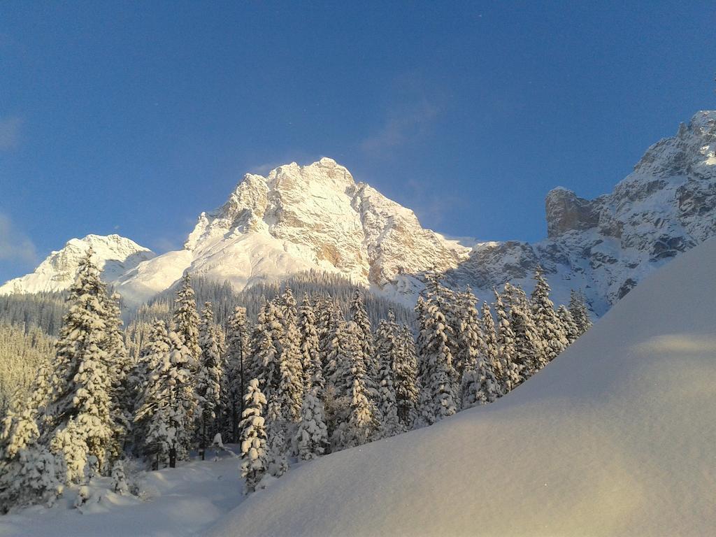 Apartament Haus Breithornblick Maria Alm am Steinernen Meer Zewnętrze zdjęcie